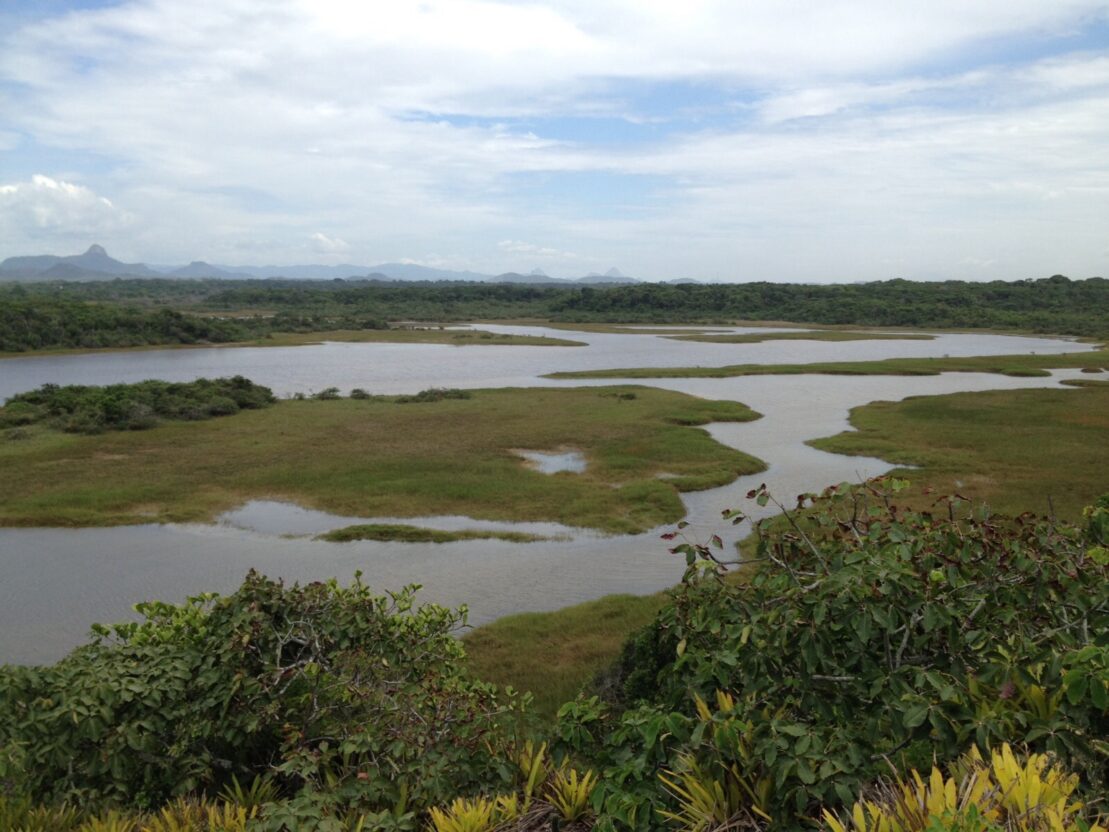 Parque Estadual Paulo Cesar Vinha